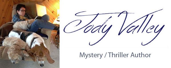 Jody Valley Author